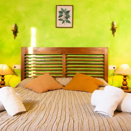 Montal Apartmento Con Piscina *