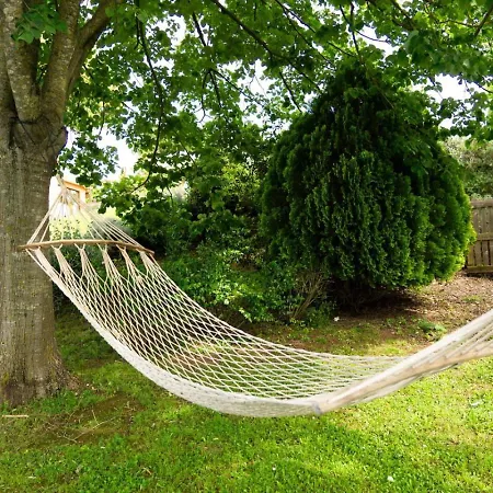 Montal Apartmento Con Piscina